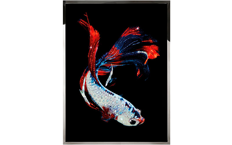 Фото 1 - Декоративная работа Betta Splendes 