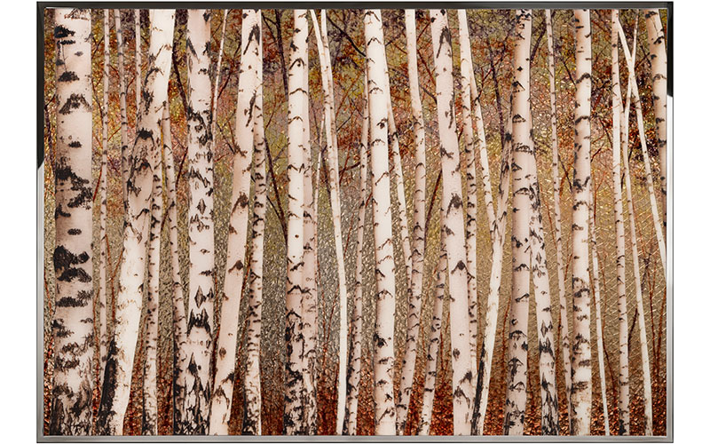 Фото 1 - Декоративная работа Birches 