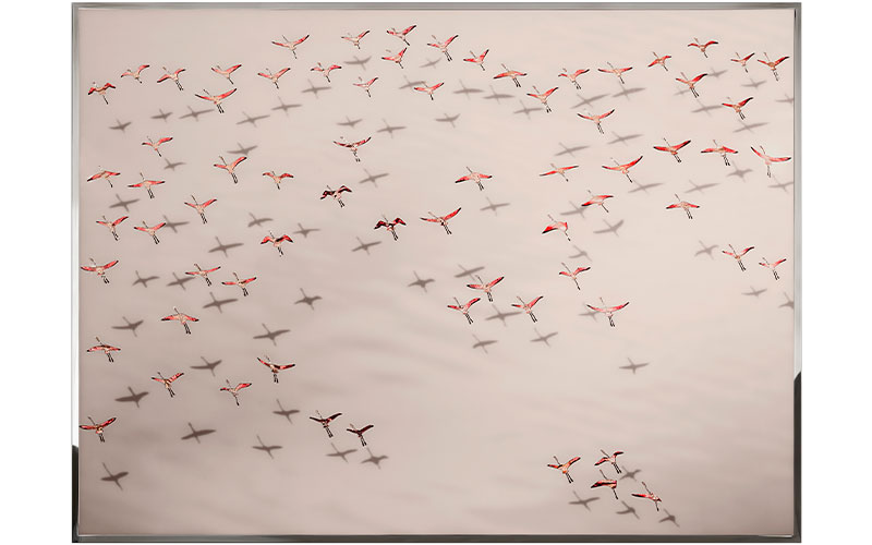 Фото 1 - Декоративная работа Flamingos 