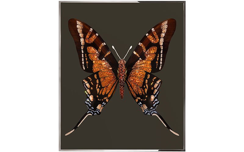 Фото 1 - Декоративная работа Brown Butterfly 