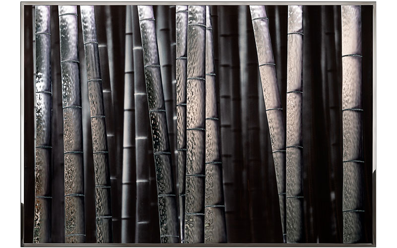 Фото 1 - Декоративная работа Bambu 
