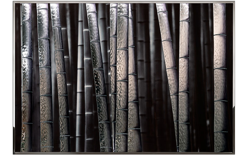 Фото 1 - Декоративная работа Bambu 