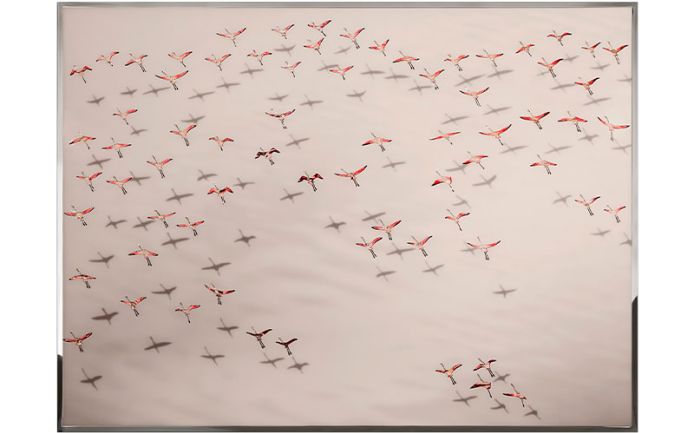 Фото - 1 - Декоративная работа Flamingos
